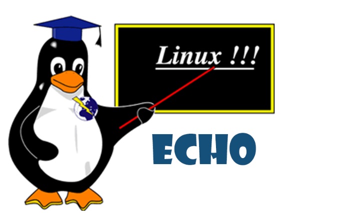 Echo Linux команда. Команда Echo.